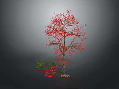 Vibrant Red Leaf Tree With Small Green Plants And Fallen Red Leaves 3d model