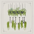 Hanging Basket Plants with Lush Green Foliage Suspended from Ceiling in Stylish Indoor Decor