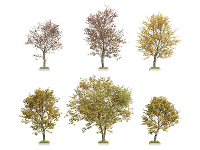 Tree Planter Featuring Various Seasonal Trees With Different Leaf Colors And Growth Stages 3d model