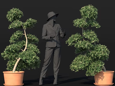 Bonsai Potted Plants In Terracotta Pots With Human Figure Model Standing Between On Black Background 3d model
