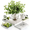 Decorative Ornament Set With Green Plants Vase Pears Books Magazines And Tray