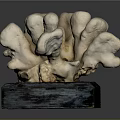 Coral Shaped Sculpture Placed on Black Base for Decorative Art