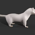 White Ferret Standing With Open Mouth On Dark Background 3d model