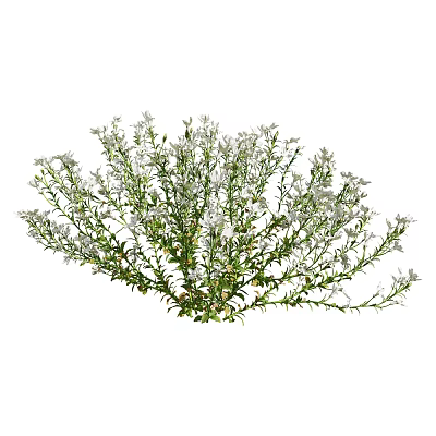 Modern flower bed grass 3d model Modern flower bed grass 3d model