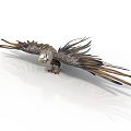 Realistic Eagle With Spread Wings And Detailed Feathers On White Background 3d model
