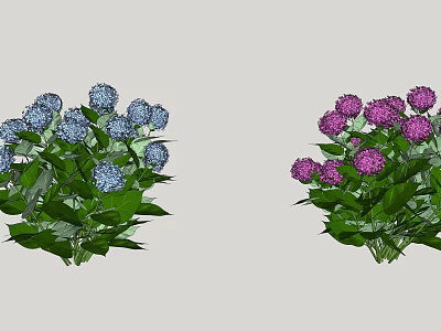 Modern Flower Hydrangea 3d model Modern Flower Hydrangea 3d model