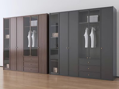 Modern Brown and Dark Gray Wardrobe with Glass Doors Hanging Clothes and Drawers 3d model