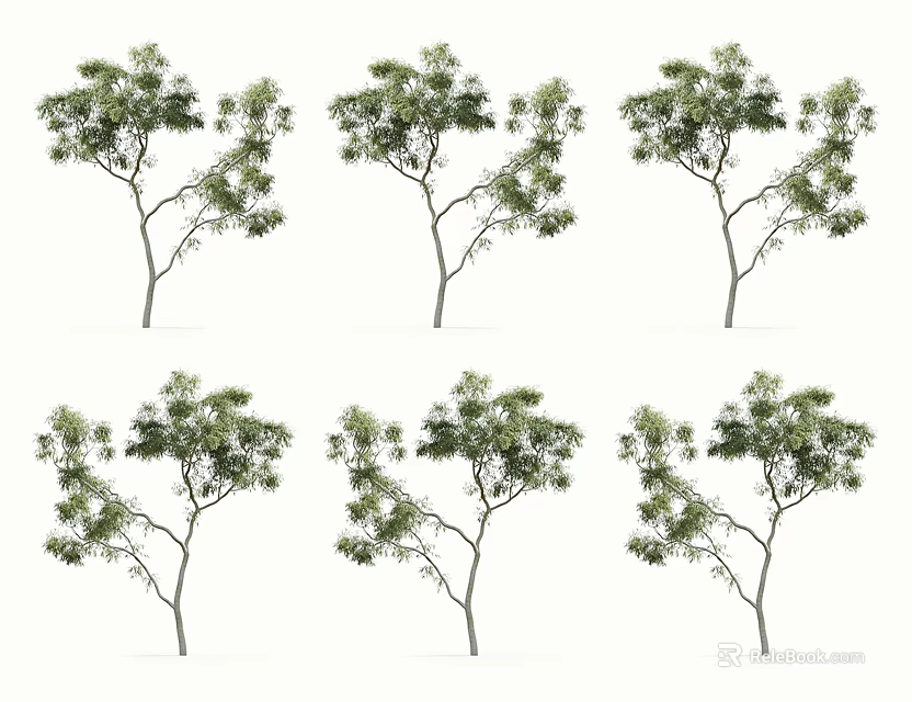 Various Arbor Trees With Different Green Foliage And Branch Structures On White Background 3d model