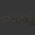 Dry Tree With Curved Trunk And Leafless Branches On White Background