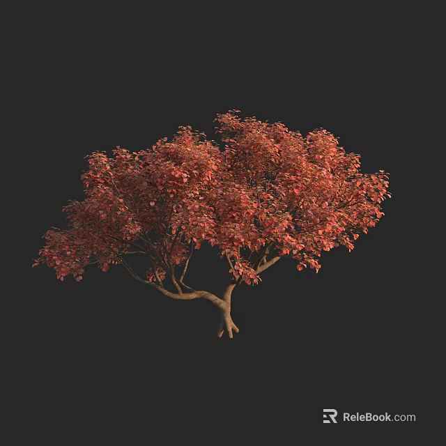 Vibrant Red Leaf Arbor With Lush Foliage And Spreading Branches On Dark Background 3d model