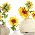 Potted Sunflower Plants In Various Ceramic Vases For Home Decoration