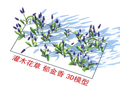 Shrub Flowers Tulip Plants 3D Model 3d model