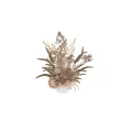 Natural Dried Floral Ornament Set With Wheat Grass And White Vase For Home Decor