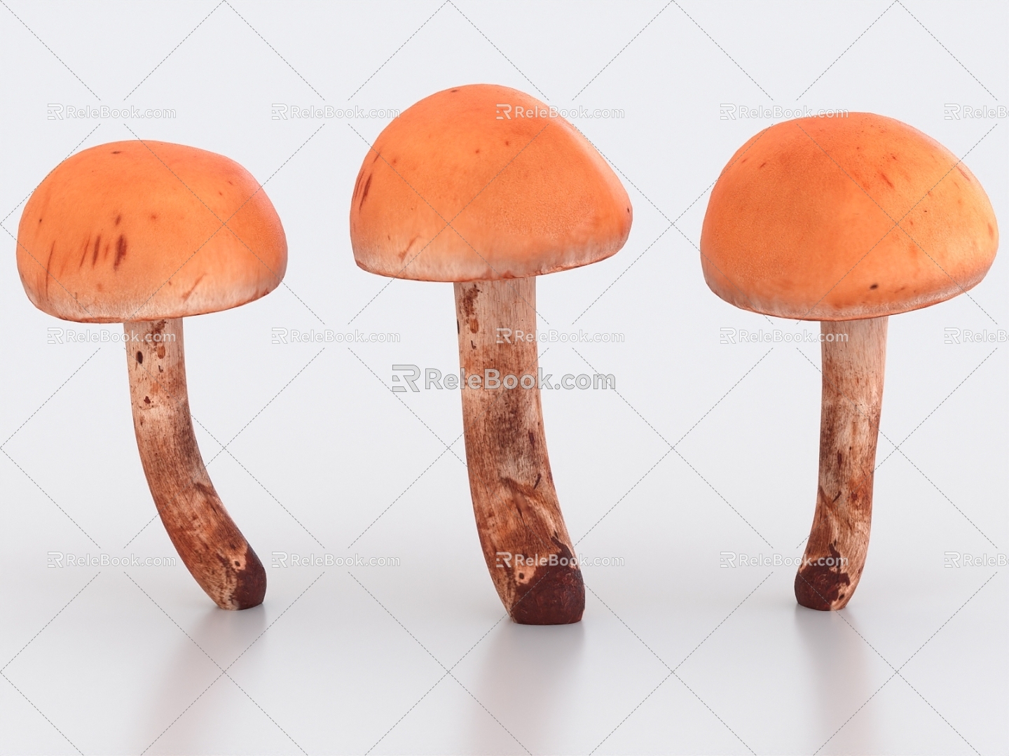 mushroom cover mushroom fungus vegetable plant 3d model