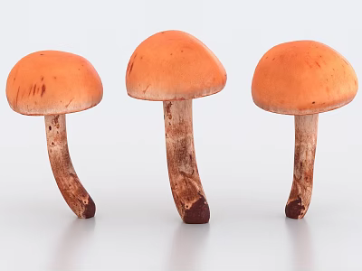 Three Fresh Orange Mushrooms as Vegetables with Brown Stems on White Background 3d model