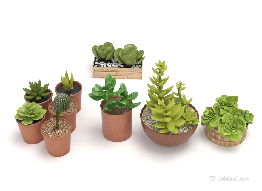Diverse Succulent Plant Varieties in Ceramic Wooden and Woven Containers for Decor 3d model 