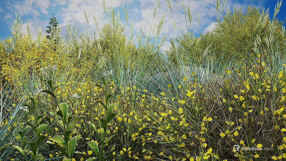 Lush Shrubs Bearing Yellow Flowers Amid Tall Grass Green Plants Blue Sky And White Clouds 3d model 