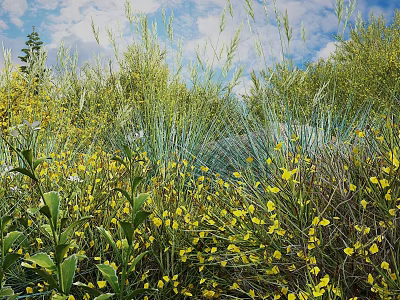 Lush Shrubs Bearing Yellow Flowers Amid Tall Grass Green Plants Blue Sky And White Clouds 3d model