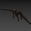 Sauropod Dinosaur 3D Rendering With Long Neck Long Tail And Gray Background 3d model