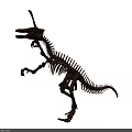 Ancient Reptile Skeleton Fossil Showing Prehistoric Long Skull and Vertebrae Structure