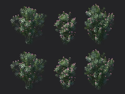 Green Leaf Bushes With Pink Flowers In Various Natural Shapes 3d model