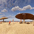 Outdoor Chairs On Beach With Straw Umbrellas Blue Sky And Seagulls
