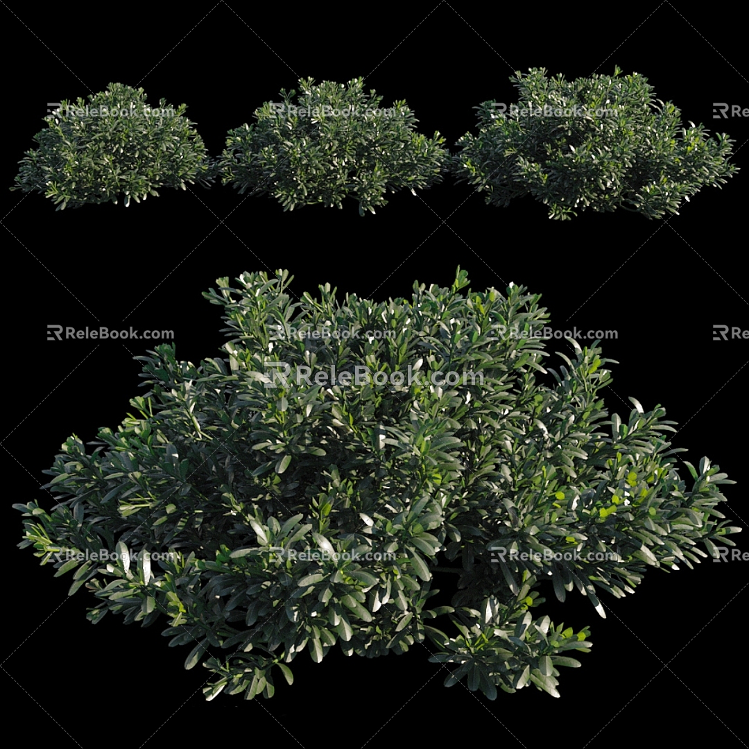 Bushes 3d model