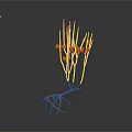 3D Rendering of Organ and Hair Structure with Vascular Roots Fibrous Strands and Red Cells