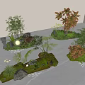 Indoor Plant Combinations with Bamboo Red Leaf Trees and Ferns Stones Pebbles and Moss Decor