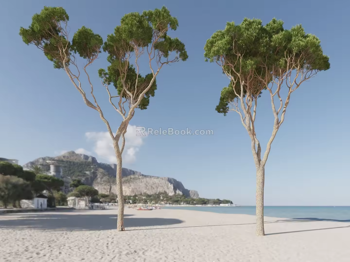 Trees Beach Trees Tropical Trees 3d model
