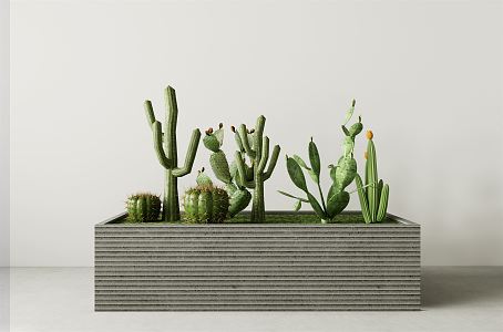 Modern Flower Box Cactus 3d model