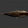 Detailed 3D Rendered Largemouth Bass Fish With Open Mouth Brown White Fins Tail