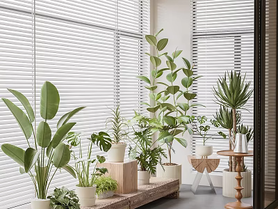 Lush Home Balcony With Green Potted Plants Window Blinds Wooden Tray And Small Table 3d model