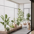 Lush Home Balcony With Green Potted Plants Window Blinds Wooden Tray And Small Table