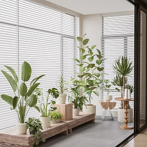 Modern Mori Plant Combination Living Balcony 3d model