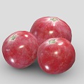 Modern Cranberry Fruit Food 3d model