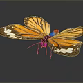 Vibrant Orange And Brown Butterfly With Detailed Wings And White Spots On Dark Backdrop