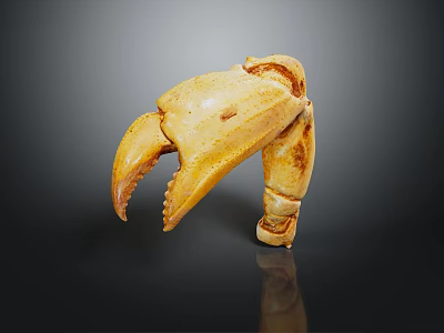 Yellow Crab Claw With Detailed Texture On Dark Background And Reflection 3d model