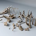 Skeleton Human Skeleton Remains of Ancient Corpse 3d model