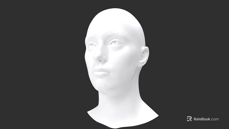 White Human Head Model With Detailed Facial Features And Realistic Eyes Nose Mouth 3d model 