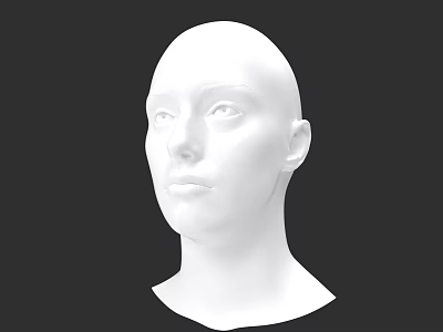 White Human Head Model With Detailed Facial Features And Realistic Eyes Nose Mouth 3d model