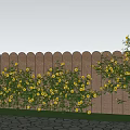 Yellow Flowers and Vines on White Pillar Along Fence with Stone Pavement and Lawn