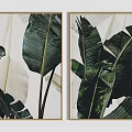Modern Plant Paintings With Large Green Banana Leaves And Golden Frames On White Background