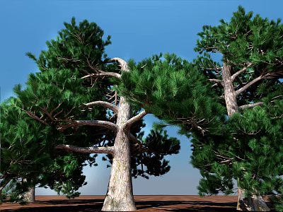 Tall Trees with Lush Green Foliage and Strong Trunks Under Blue Sky 3d model