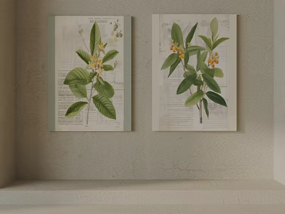 Pair Of Vintage Botanical Prints With Leaf And Flower Illustrations On Wall 3d model