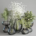 Decorative Glass Vases In Different Sizes Holding Various White Flowers And Fresh Greenery