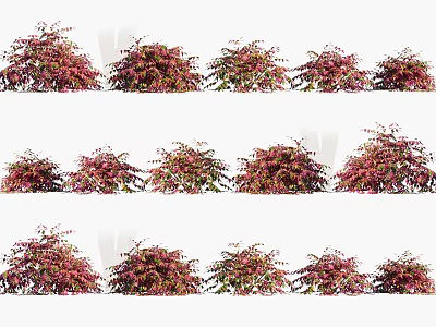 Vibrant Garden Shrubs With Red And Green Leaves For Landscaping Decoration 3d model
