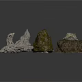 Natural Wood and Stone Pieces with Mossy Surfaces and Rough Textures