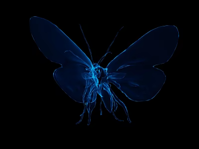 Detailed Reptile X Ray Image With Blue Skeleton Structure On Black Background 3d model
