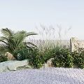Natural Garden Plant Combination With Palm Herbs Blooming Flowers Stones And Gravel